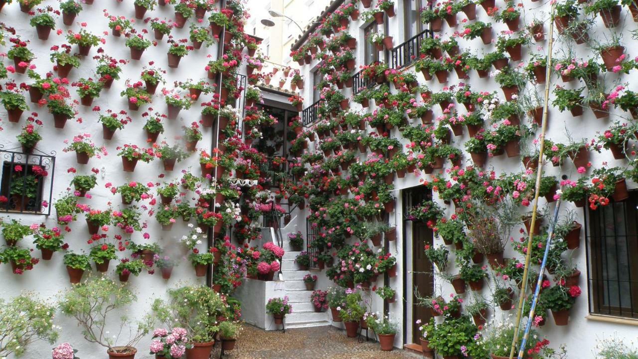 El Balcon De La Mezquita Lägenhet Córdoba Exteriör bild